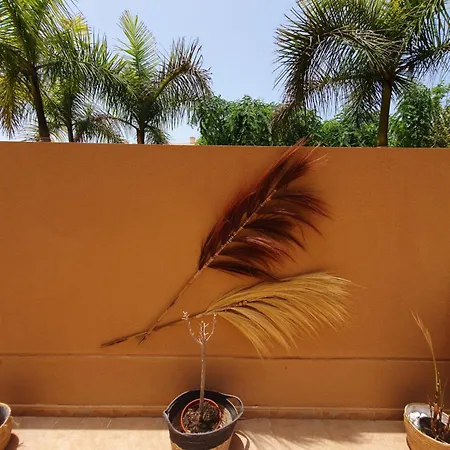 Renove 2 Chambres, Grande Terrasse S-o, Parking Prive Apartamento